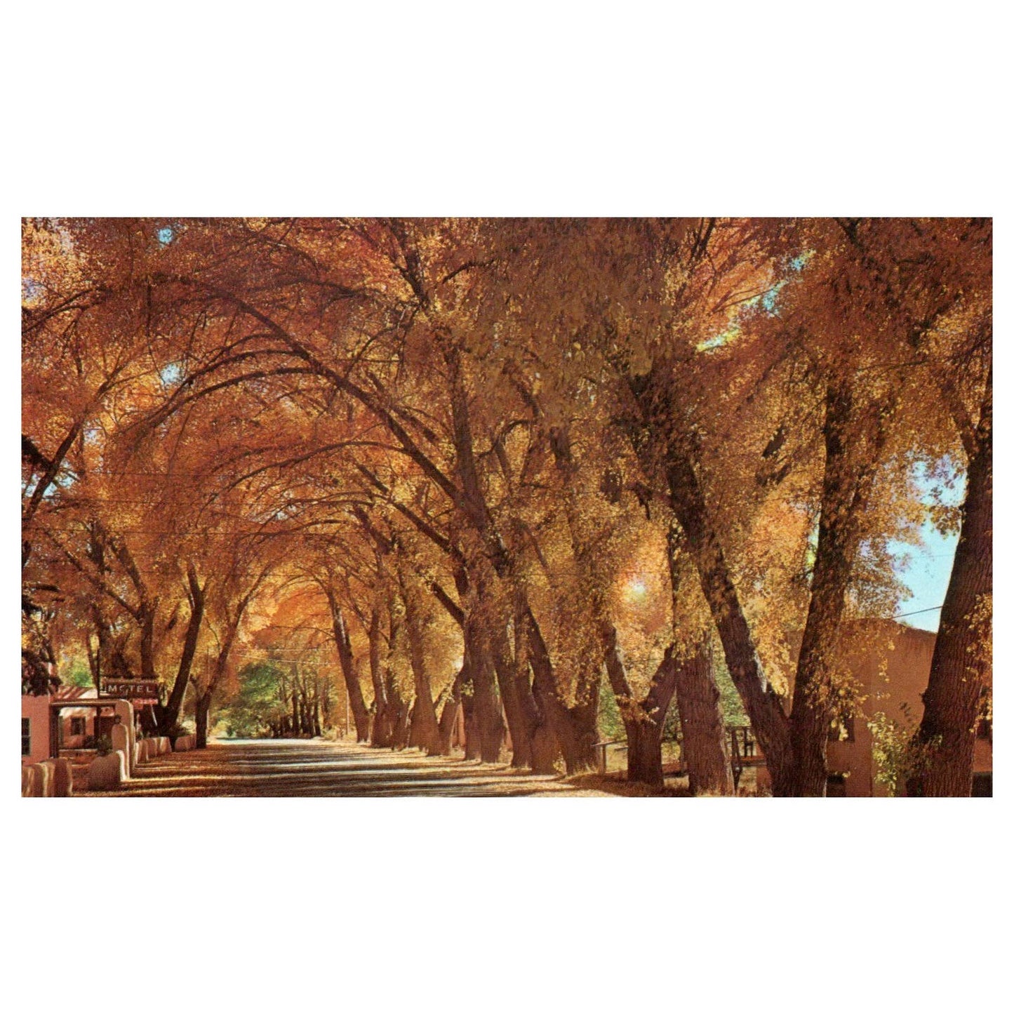 Vintage Postcard - Adobe Wall Motel Taos New Mexico AD9