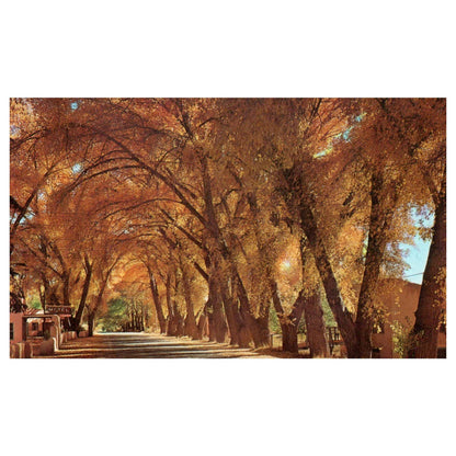 Vintage Postcard - Adobe Wall Motel Taos New Mexico AD9