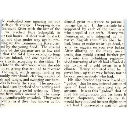 c1920 Harper's Magazine Clip - 3.5x4 Litho - Picking Vanilla Beans Described EA3