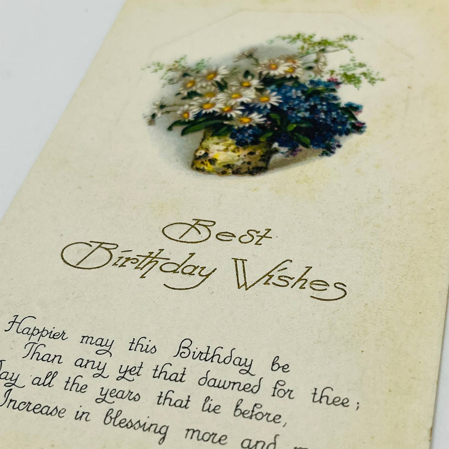 1910s Birthday Post Card WINSCH Back Daisies Forget Me Nots Poem PA5