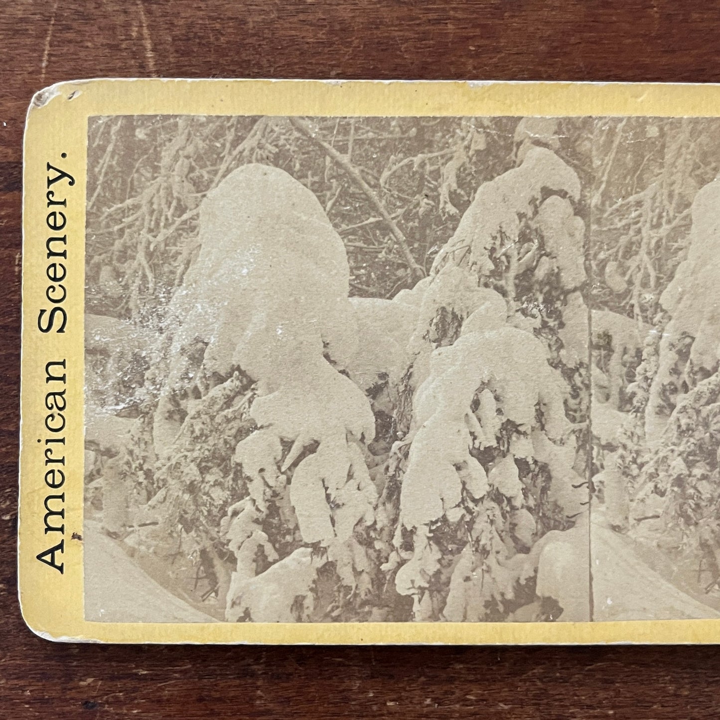 Snow Capped Trees Niagara Falls c1880 Antique Stereoview Card H2-4