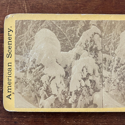 Snow Capped Trees Niagara Falls c1880 Antique Stereoview Card H2-4