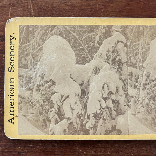 Snow Capped Trees Niagara Falls c1880 Antique Stereoview Card H2-4