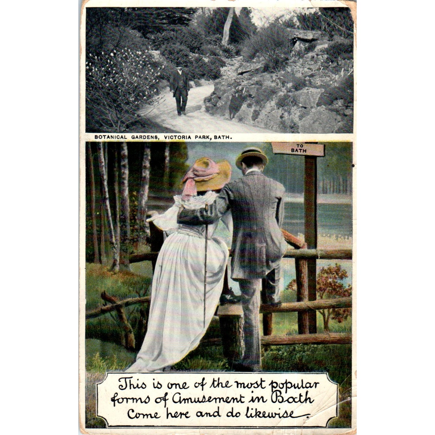 Botanical Gardens Victoria Park Bath Original Postcard P2-7