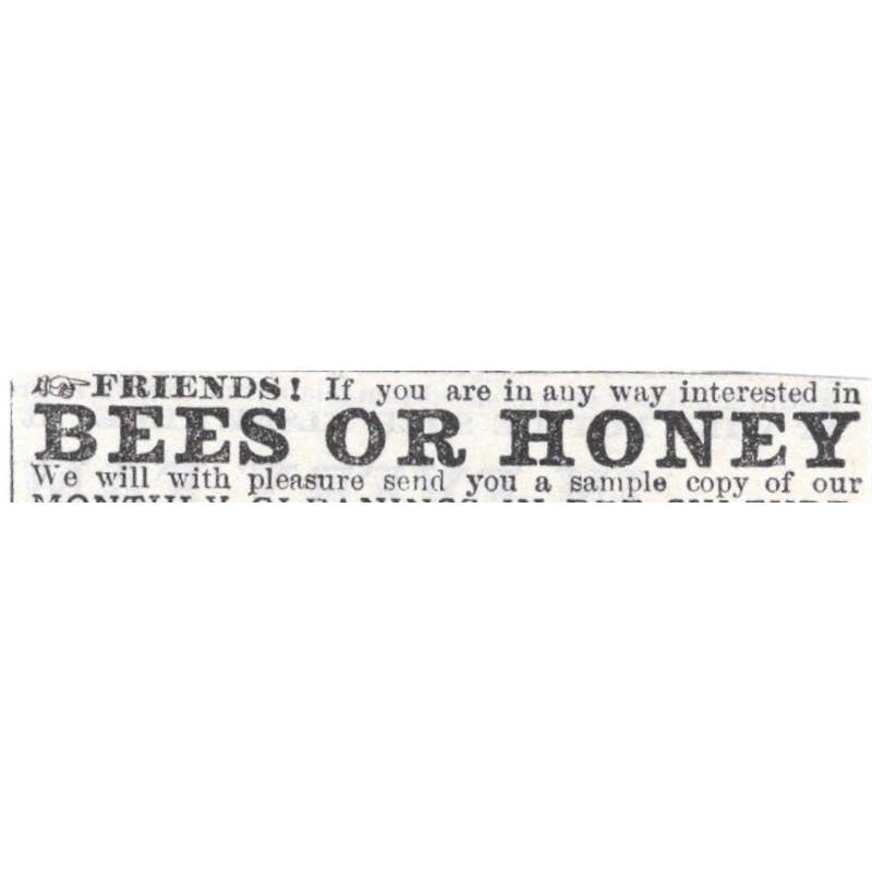 Bees or Honey A.I. Root Medina Ohio - Victorian Ad 1878 Original TJ7-L2-1