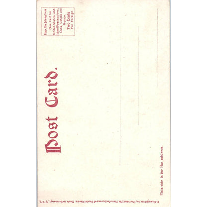 Vintage Postcard Picturesque Walk Fairmount Park Philadelphia PA TI1-1