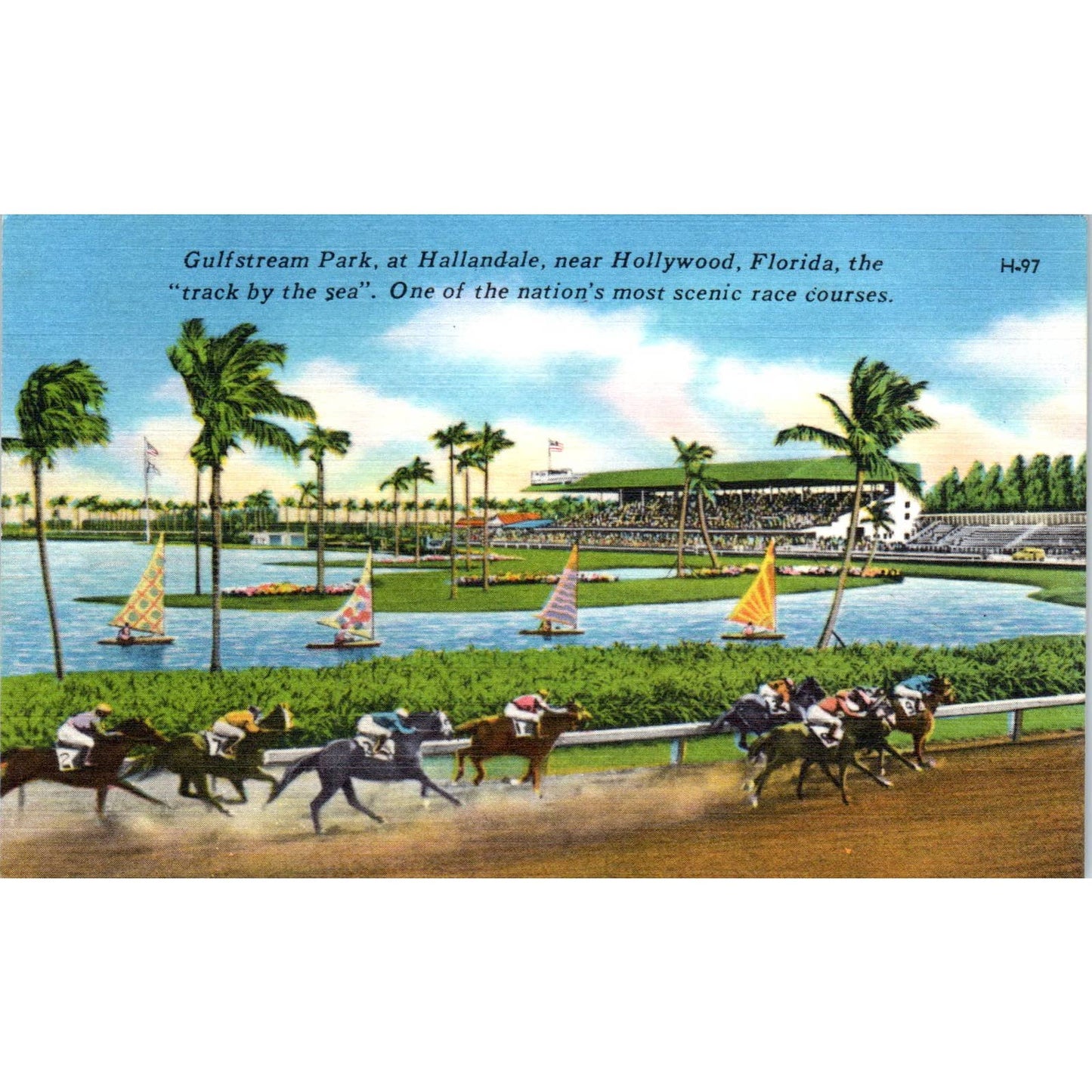Horse Racing at Gulfstream Park Hallandale Hollywood FL 1950s Postcard TK1-23