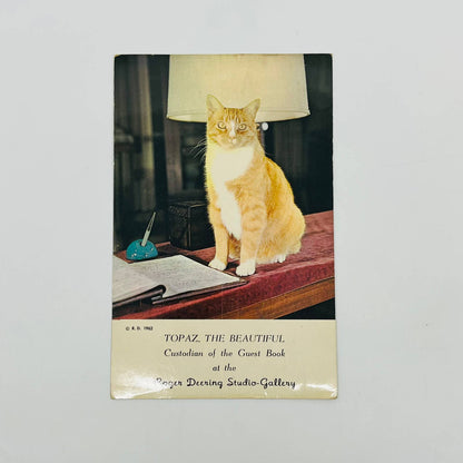 1962 Topaz the Beautiful Orange Tabby Cat Roger Deering Studio Kennebunkport PA2