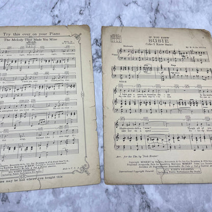 1925 IF YOU KNEW SUSIE (Like I Know Susie) Sheet Music by B. G. De Sylva￼ TJ4