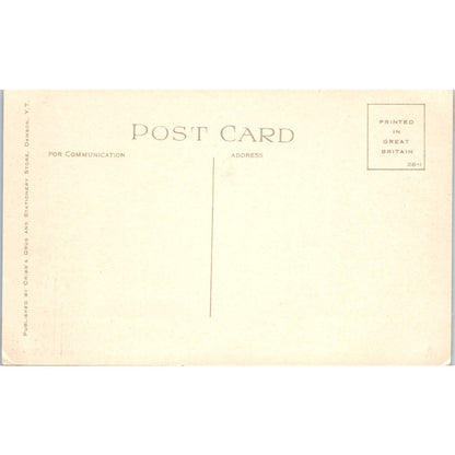 1928 Klondike River from Dome Road Dawson YT Alaska Original Postcard TK1-29