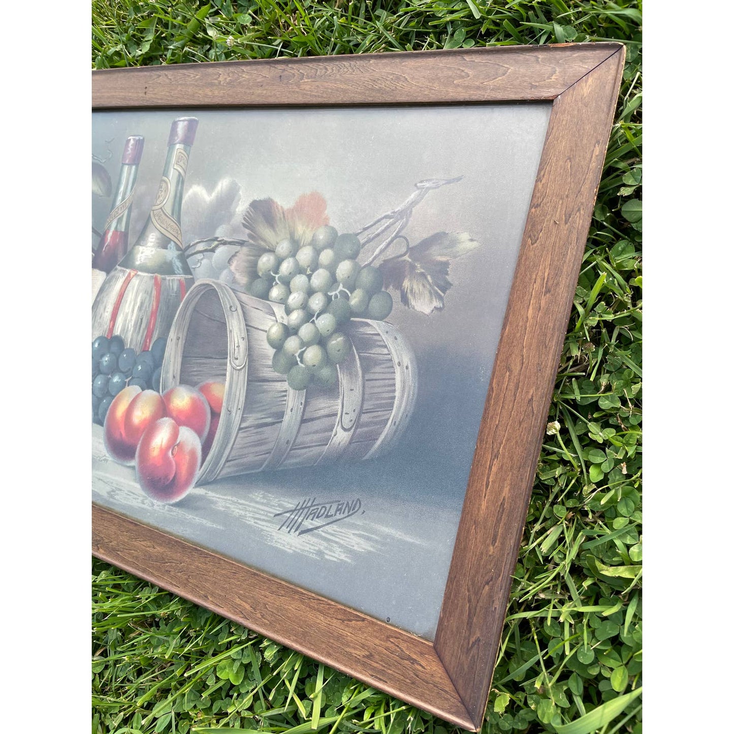 Antique Vintage H Hadland Chromolithograph Print Wall Art Framed