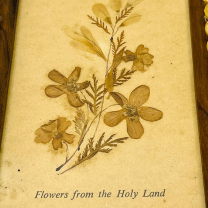 1960s Souvenir Dried Flowers From Jerusalem Olivewood Frame 4x5” A. Klein SB5