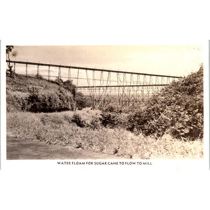 Water Floam For Sugar Cane To Flow To Mill - Original RPPC Postcard TJ7-RP1