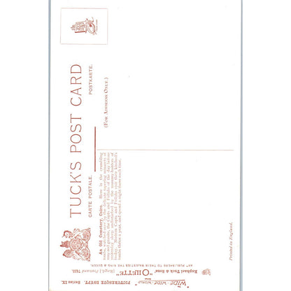 Egypt Cairo An Old Cemetary Raphael Tuck Oilette Original Postcard TK1-P14