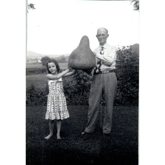 1949 Original Photo Emmet Finks Prize Winning Gourd Criglersville VA 3x4 P4-8