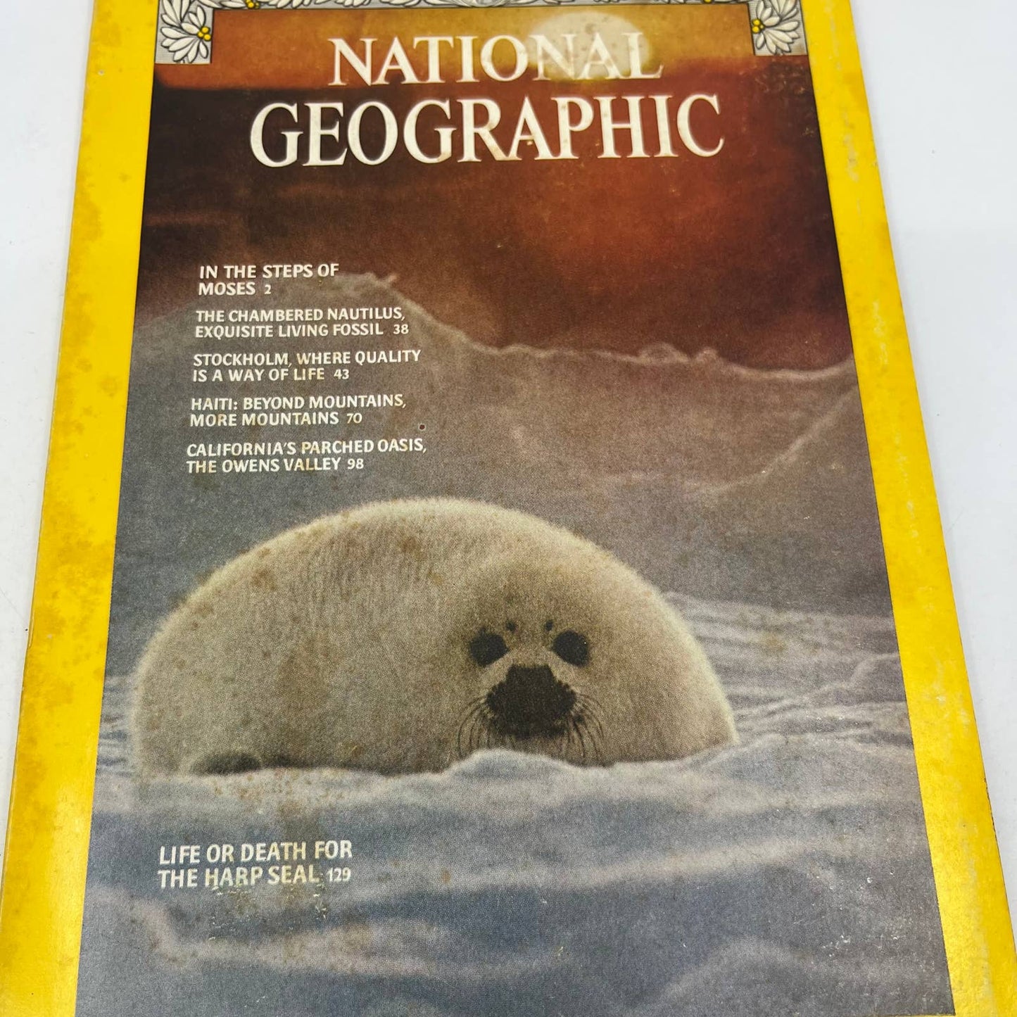 1976 Jan National Geographic Magazine Life or Death for The Harp Seal, Haiti TH3