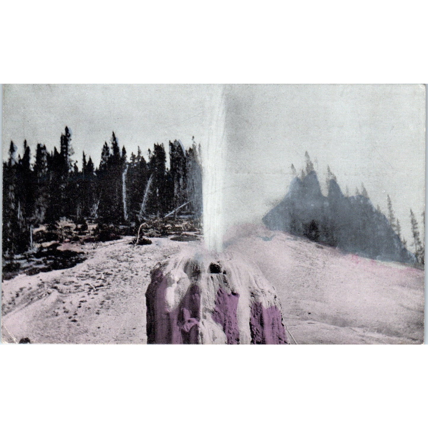 Lone Star Geyser Yellowstone Park c1910 Original Postcard P1-13