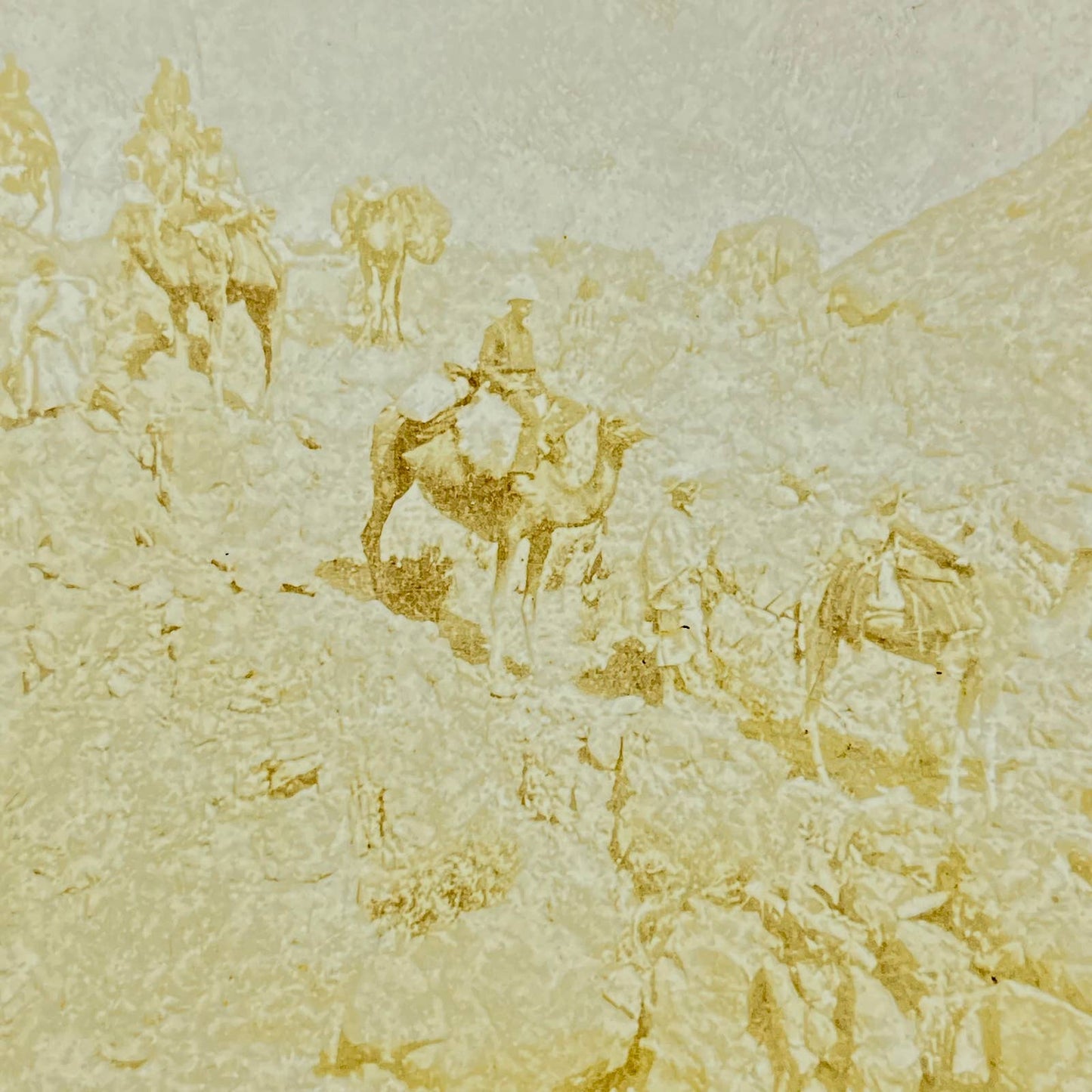 c1900 Stereoview Card Men Riding Camels in the Desert SD6