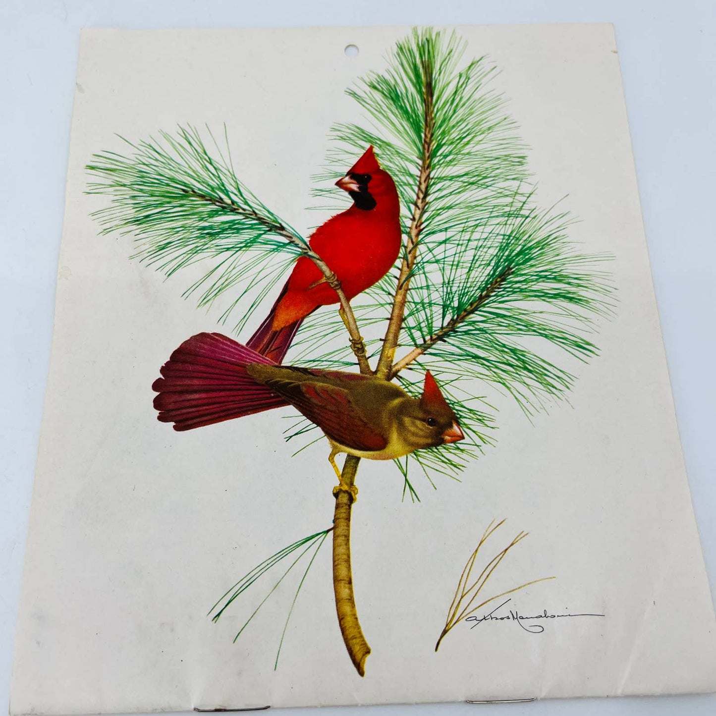 1959 Coca Cola Calendar of American Birds 7 x 12” by ATHOS MENABONIL C4