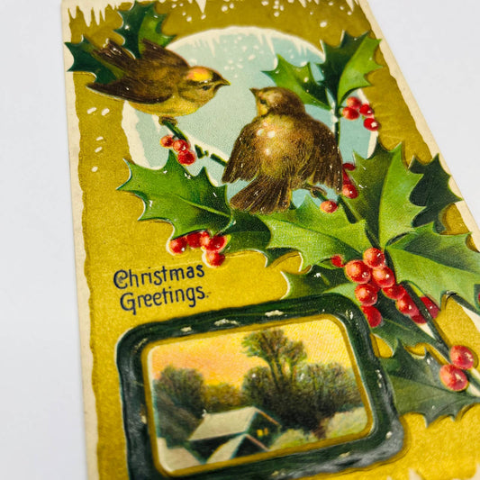 1910s Christmas Post Card Embossed Gold Holly Cottage Snow Robins PA4