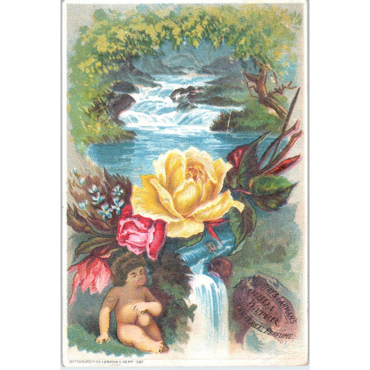 1880s Victorian Trade Card Murray and Lanman's Florida Water Perfume SE8