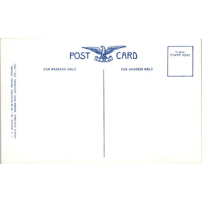 Electric Mule Towing Ocean Liner Gatun Panama Canal - Original Postcard TJ7-RP3