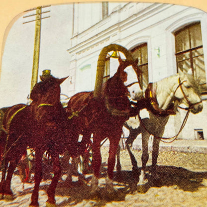 c1900 Lot of RUSSIA Stereoview Cards Troika St. Petersburg Cascade Terrace TA7-7