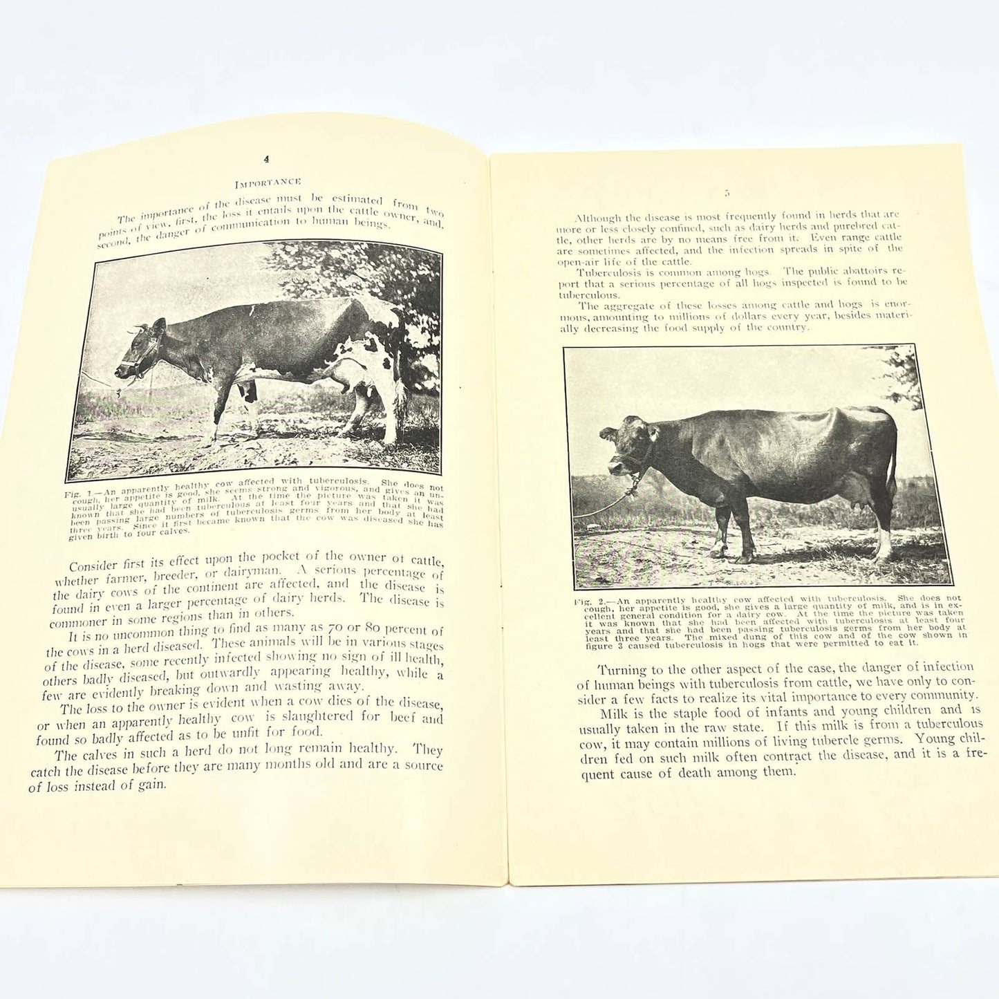 1912 University Of Illinois Circular 158 Tuberculosis Farmers & Livestock TF9