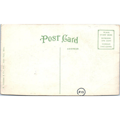 Village Hall, Spring Valley Wisconsin Original Postcard TJ9-P3