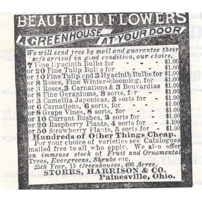 Flowers - Storrs, Harrison & Co Painesville OH - Ad 1878 Original TJ7-L2-1