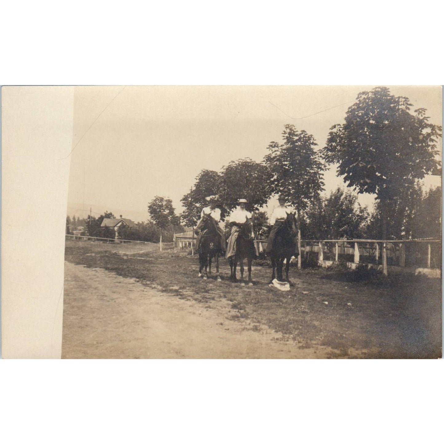Antique Postcard RPPC Three Victorian Ladies Riding Horses SE8