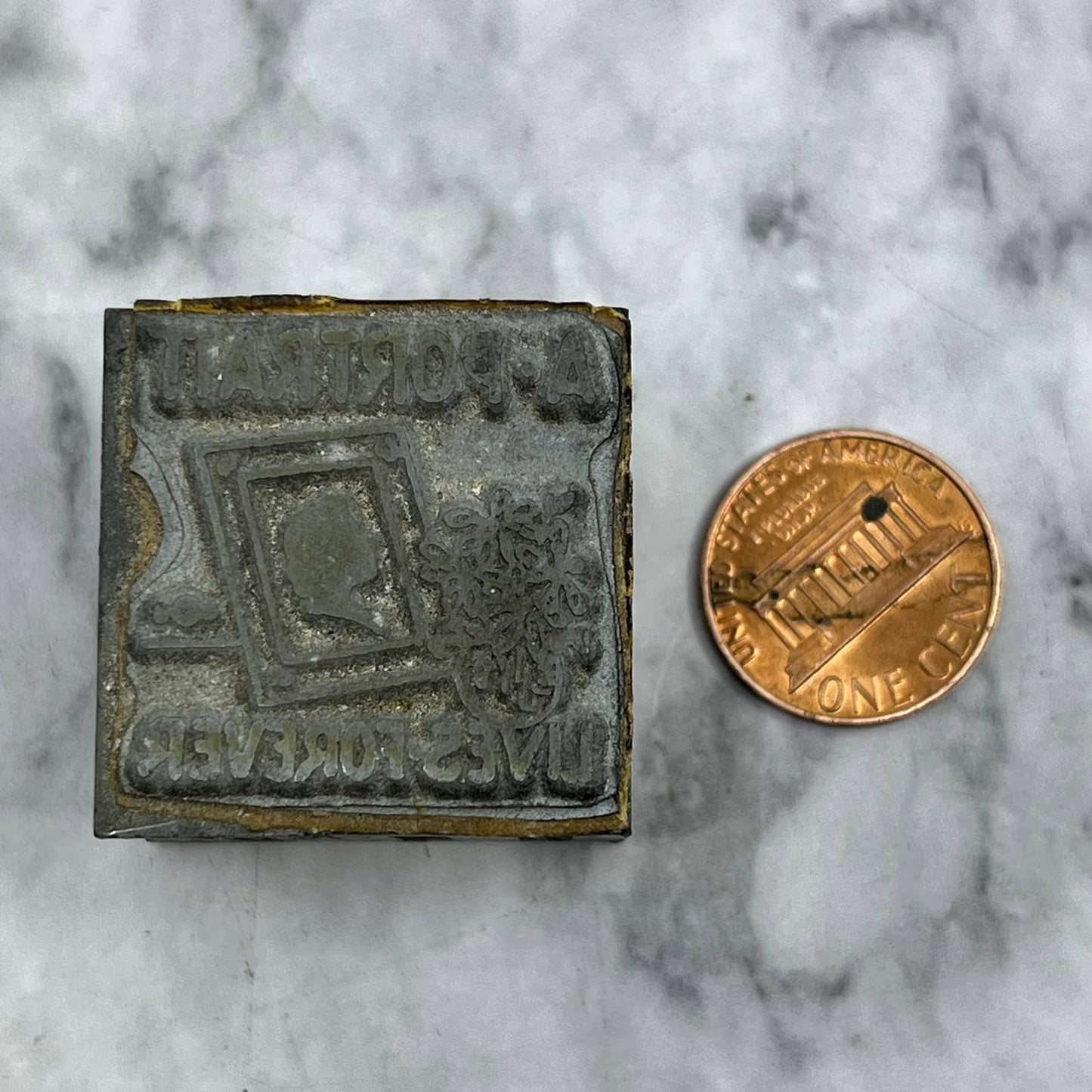 Vintage Printing Letterpress Printers Block Plate A Portrait Lives Forever TJ516
