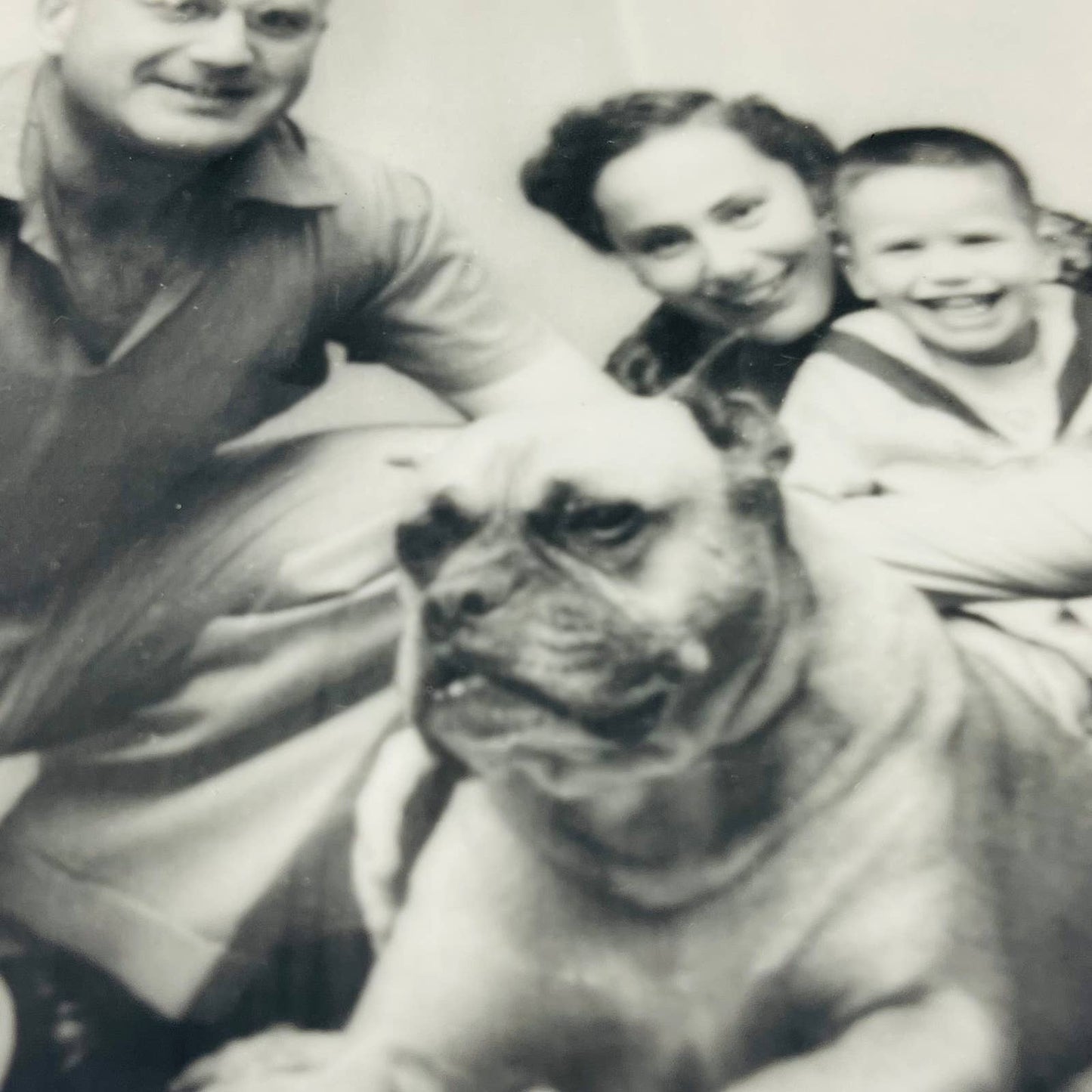 1940s Original Photograph Family w/ FRENCH BULLDOG 8 x 10 Black & White Photo C9