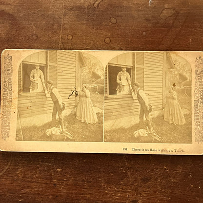 Victorian Romance - There is No Rose Without a Thorn Antique Stereoview TJ9-V3