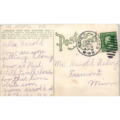 c1910 Postcard Man and Elephant in Lincoln Park Chicago IL EA3