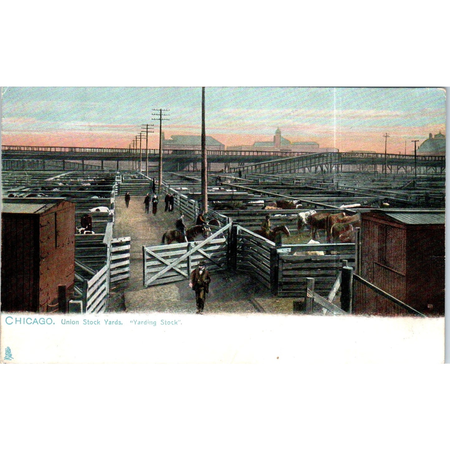 Chicago Union Stockyards Raphael Tuck Original Postcard P2-12
