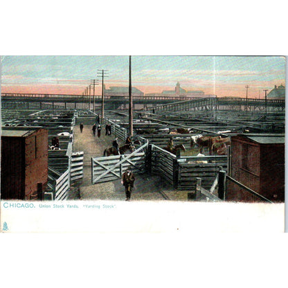Chicago Union Stockyards Raphael Tuck Original Postcard P2-12