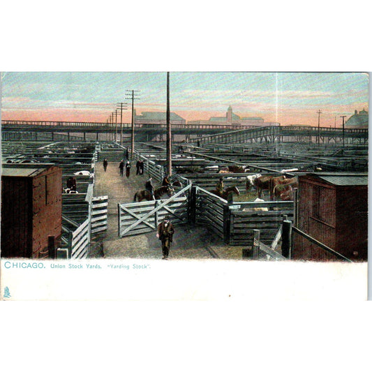 Chicago Union Stockyards Raphael Tuck Original Postcard P2-12