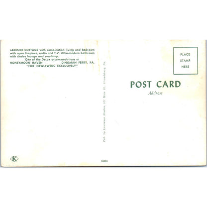Vintage Postcard Lakeside Cottage Honeymoon Haven Dingman Ferry PA TD8-P2