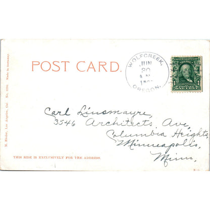 A Tuna Catch Fishing Fish 1907 Original Postcard PB1
