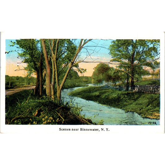 Scenes Near Binnewater NY c1920 Original Postcard TJ9-P2