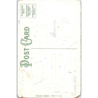 Antique Romance Postcard To My Darling Embossed Roses Germany SE4