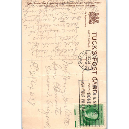 E Curtis Anthropomorphic Carrot Garden Patch Raphael Tuck Postcard TK1-P17