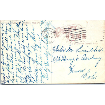 Interior Livestock Pavilion State Fair Louisville KY 1910 Postcard TK1-P1