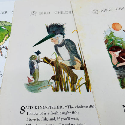 Set of 4 Bird Children MT Ross Litho Double Sided Pages and 1912 Book Cover C7