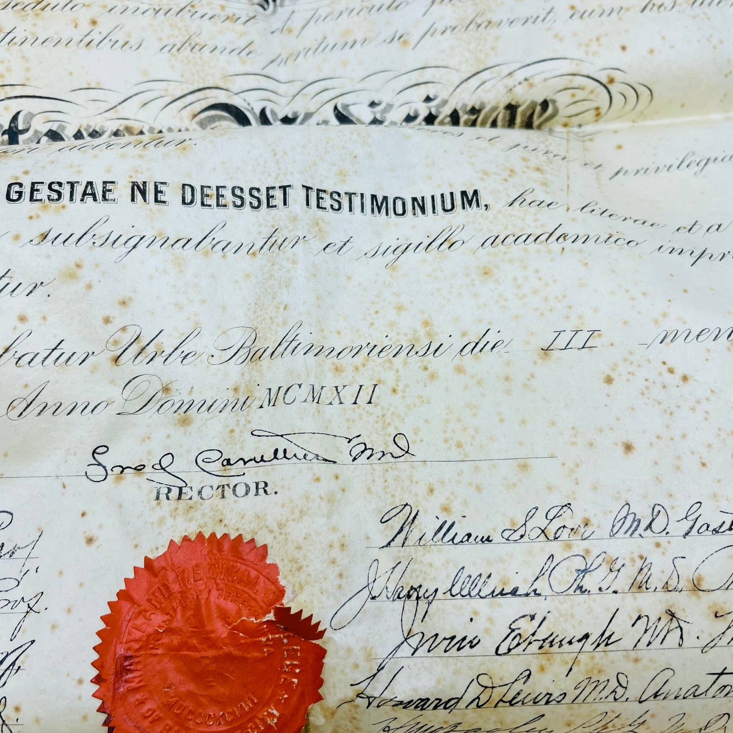 1911 Certificate Doctorate of Medicine Elwood Vaughan Hunt Baltimore City MD FL2