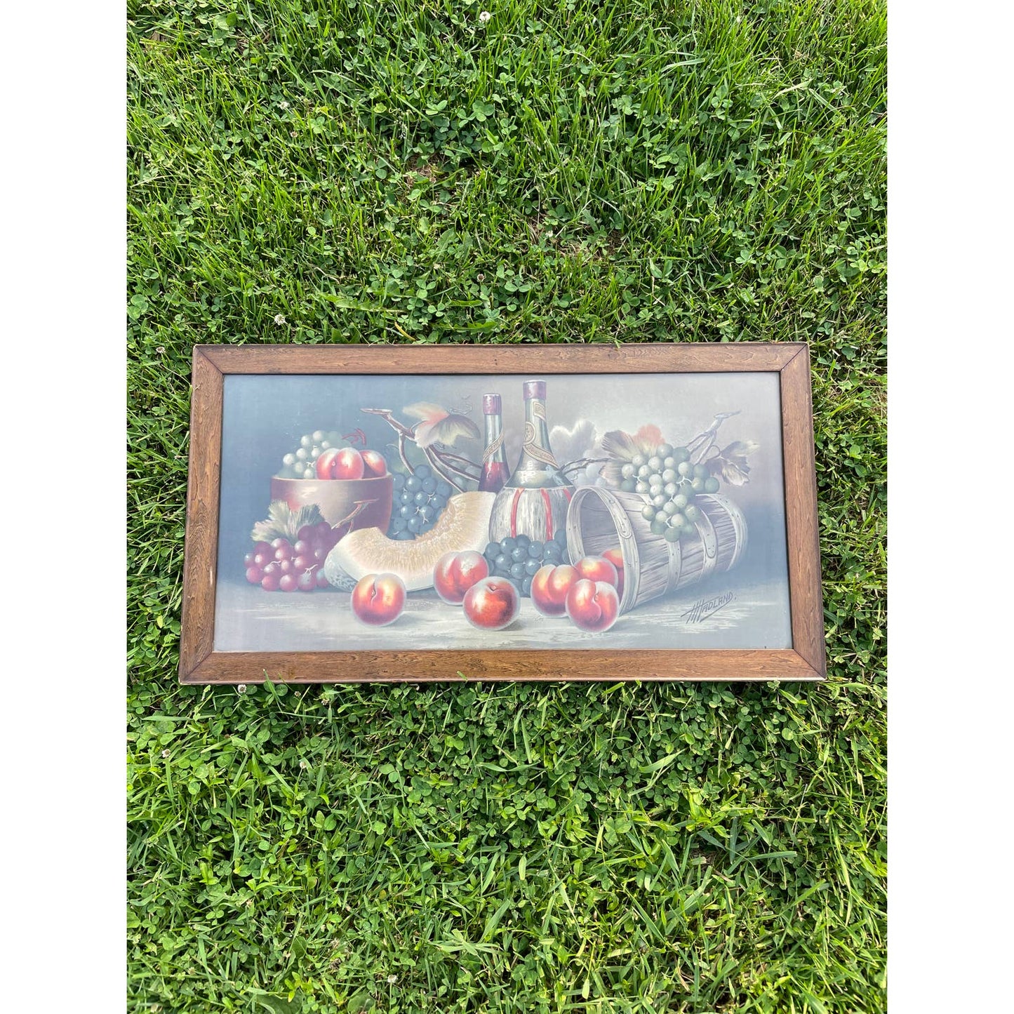 Antique Vintage H Hadland Chromolithograph Print Wall Art Framed