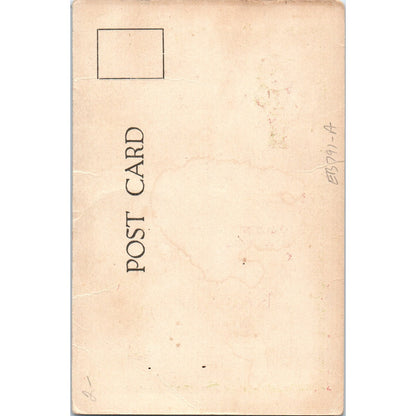 Buddy Boy Buddy Girl Selwyn Theatre Christmas Poem c1905 Postcard P2-11