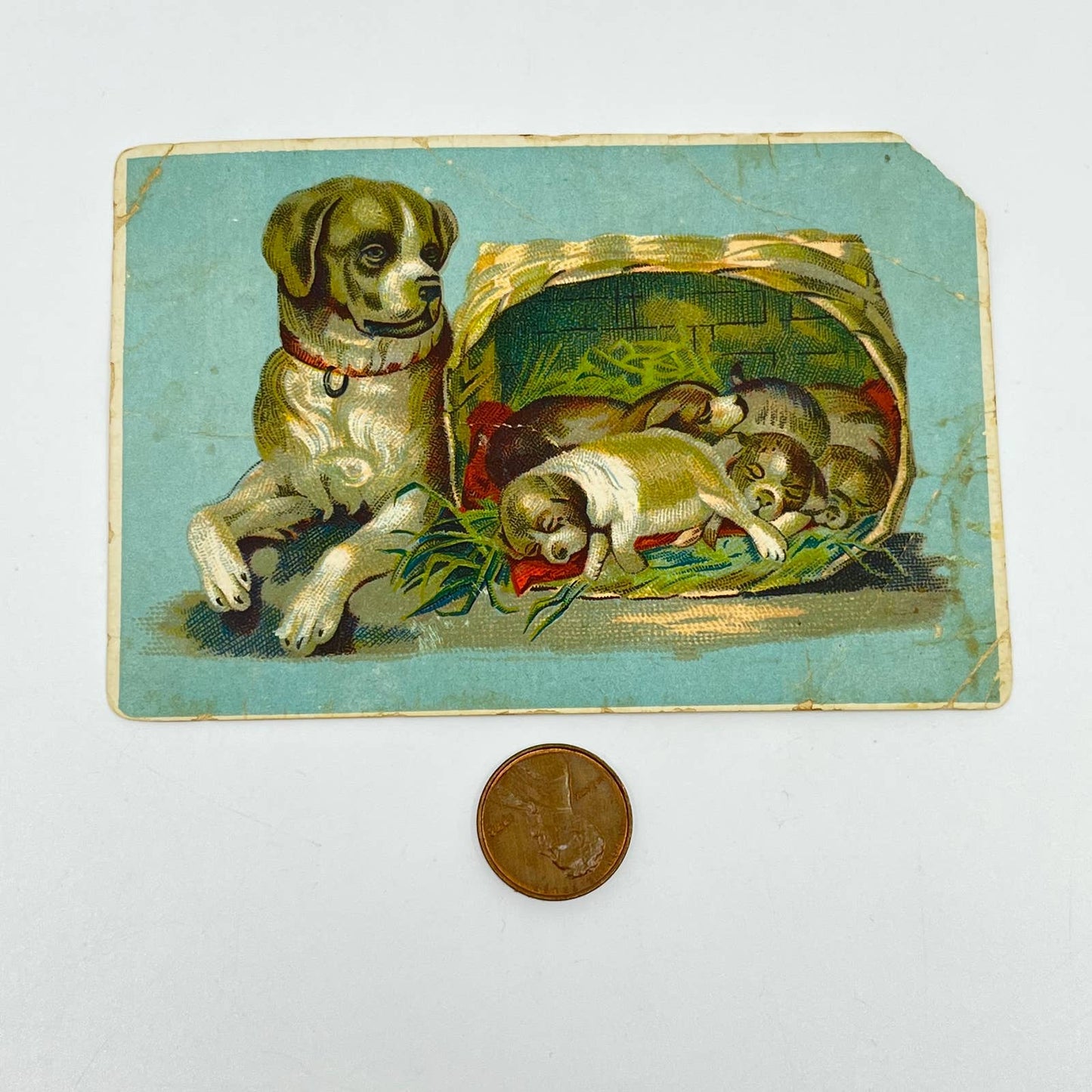 1880s Blank Victorian Trade Card Mother Dog w/ Basket of Puppies SC6