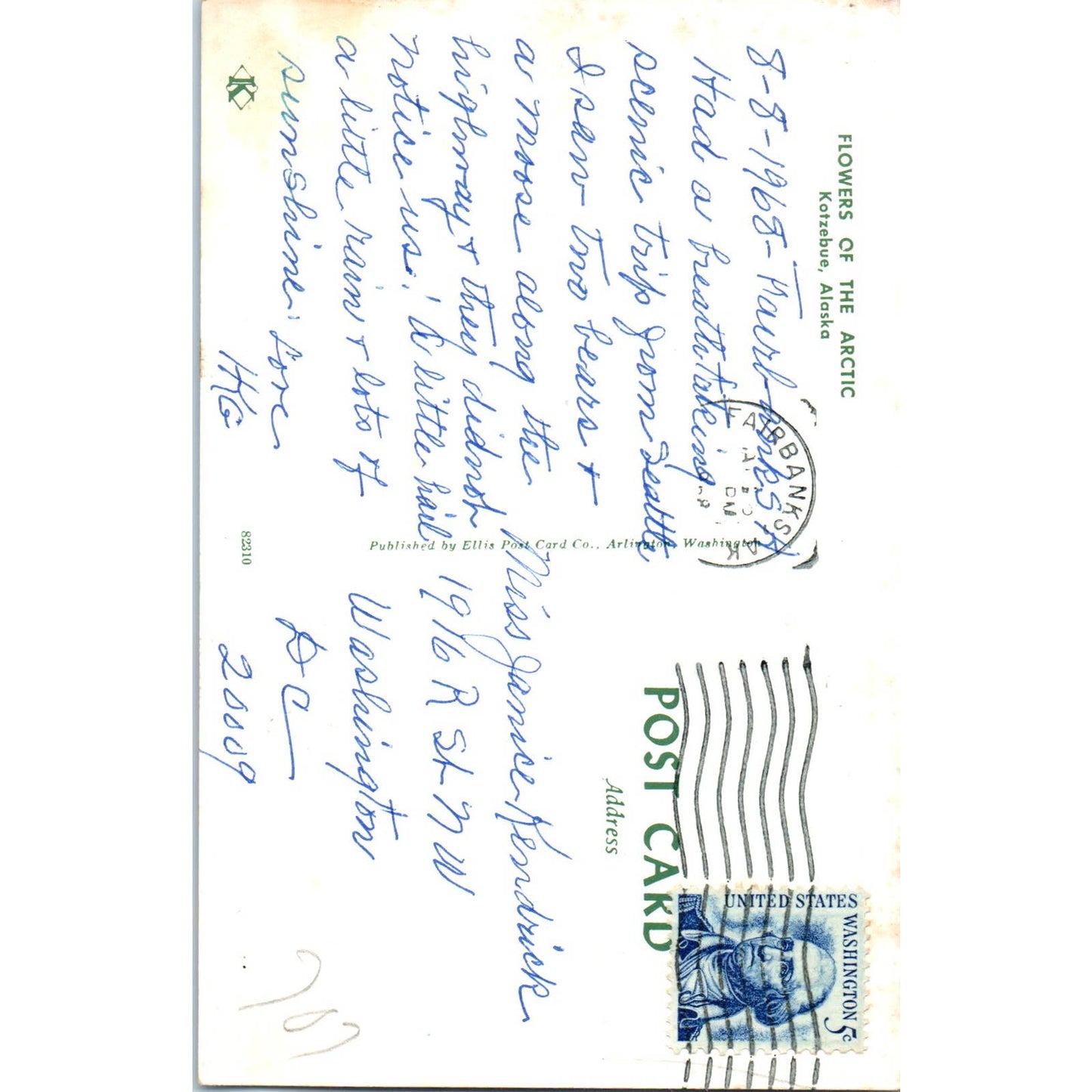 Flowers of the Arctic Kotzebue Alaska Original Postcard TK1-30